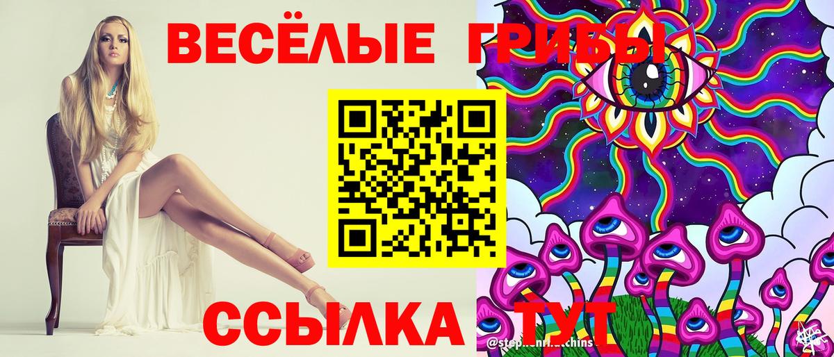 Псилоцибиновые грибы прущие грибы Кандалакша
